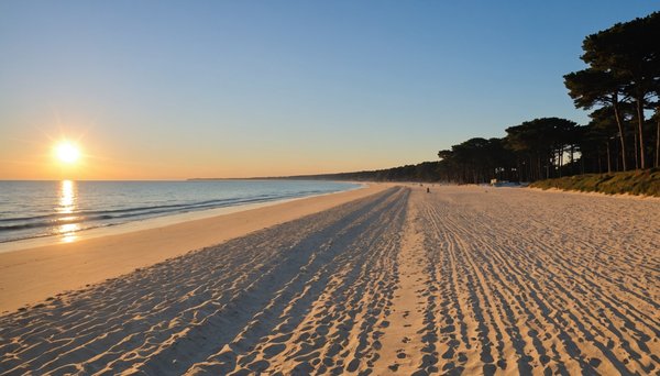 Guide pratique pour explorer les plages d'Arcachon