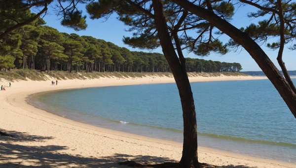 Exploration des plages secrètes du bassin d'Arcachon