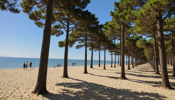 Découvrez les trésors cachés d'Arcachon : un guide complet